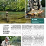 Article en été, ouvrez l'oeil La pêche et les poissons N°843 Page 40