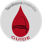 LOGO TENKARA GUIDE