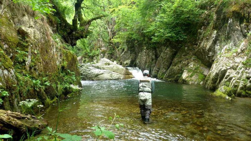 Photo vidéo pêche pyrénées 2015