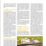 article tenkara Salmo 48 Page 13