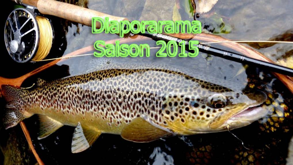 Photo Saison pêche 2015 rétrospective