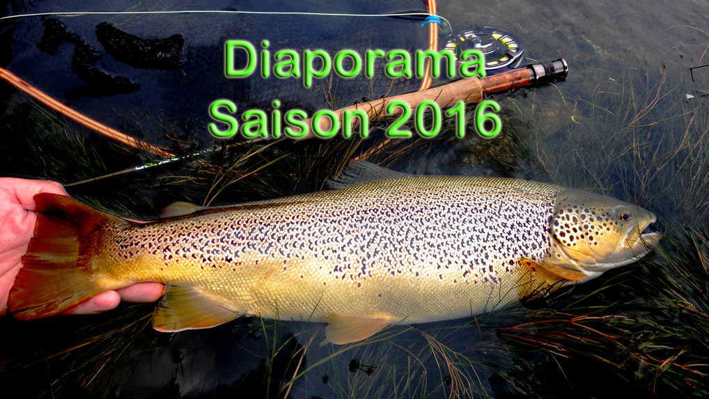 Truite diaporama saison pêche 2016