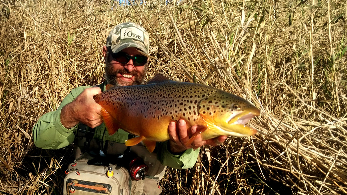 Photo principale article pêche à la mouche en vidéo année 2017