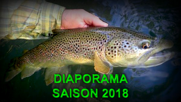 Galerie photos - diaporama des photos de pêche 2018