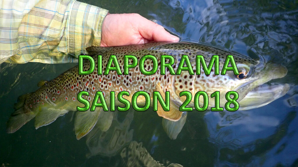 Galerie photos - diaporama des photos de pêche 2018