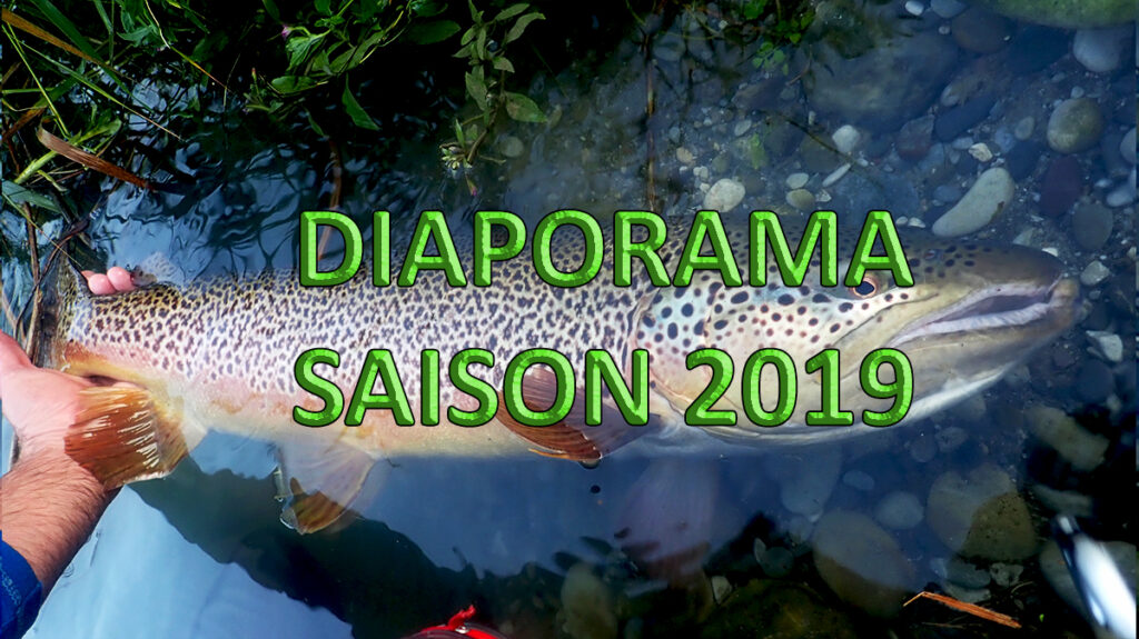 Photo de la galerie pêche à la truite de la saison 2019