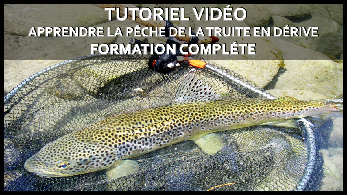 TUTORIEL / Apprendre la pêche de la truite en dérive en vidéo