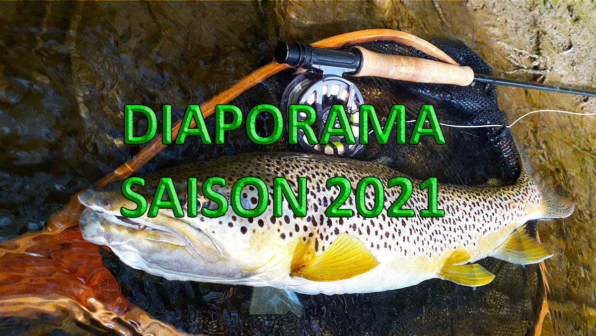 diaporama photos des stages de pêche à la truite de la saison 2021