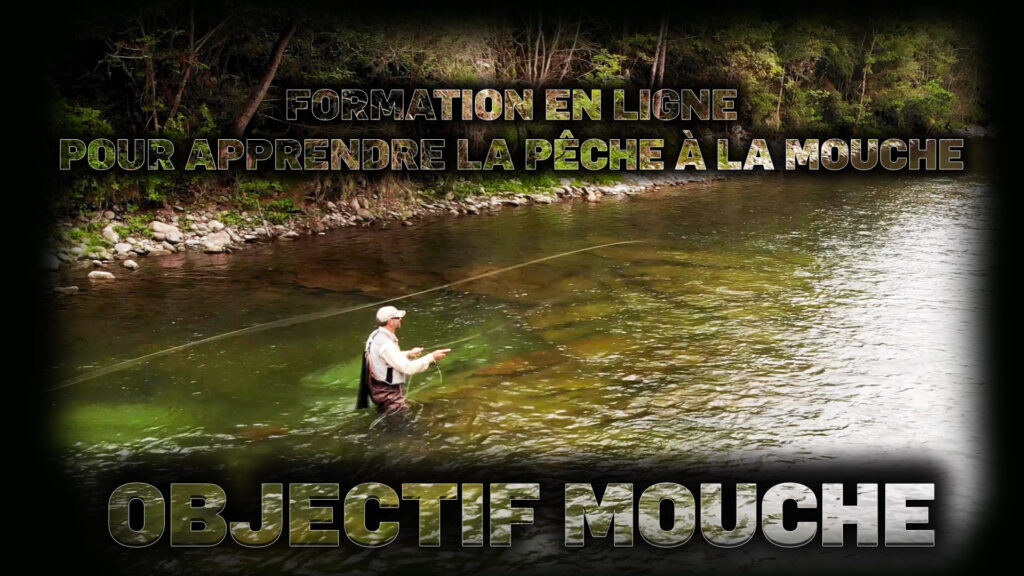 Apprendre la pêche de la truite à la mouche grâce à la formation en ligne objectif mouche