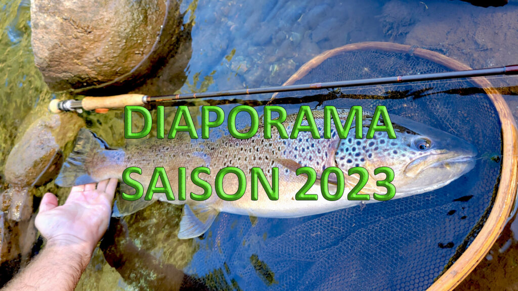 Diaporama de la saison de pêche 2023 et partage d'images prisent lors des stages de pêche, des séjours de pêche ou lors de sorties personnelles.