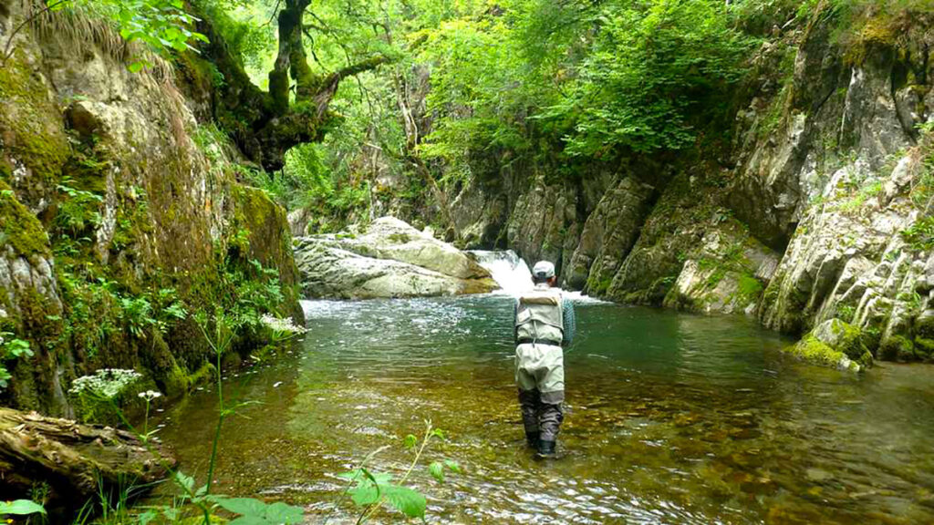 Photo vidéo pêche pyrénées 2015