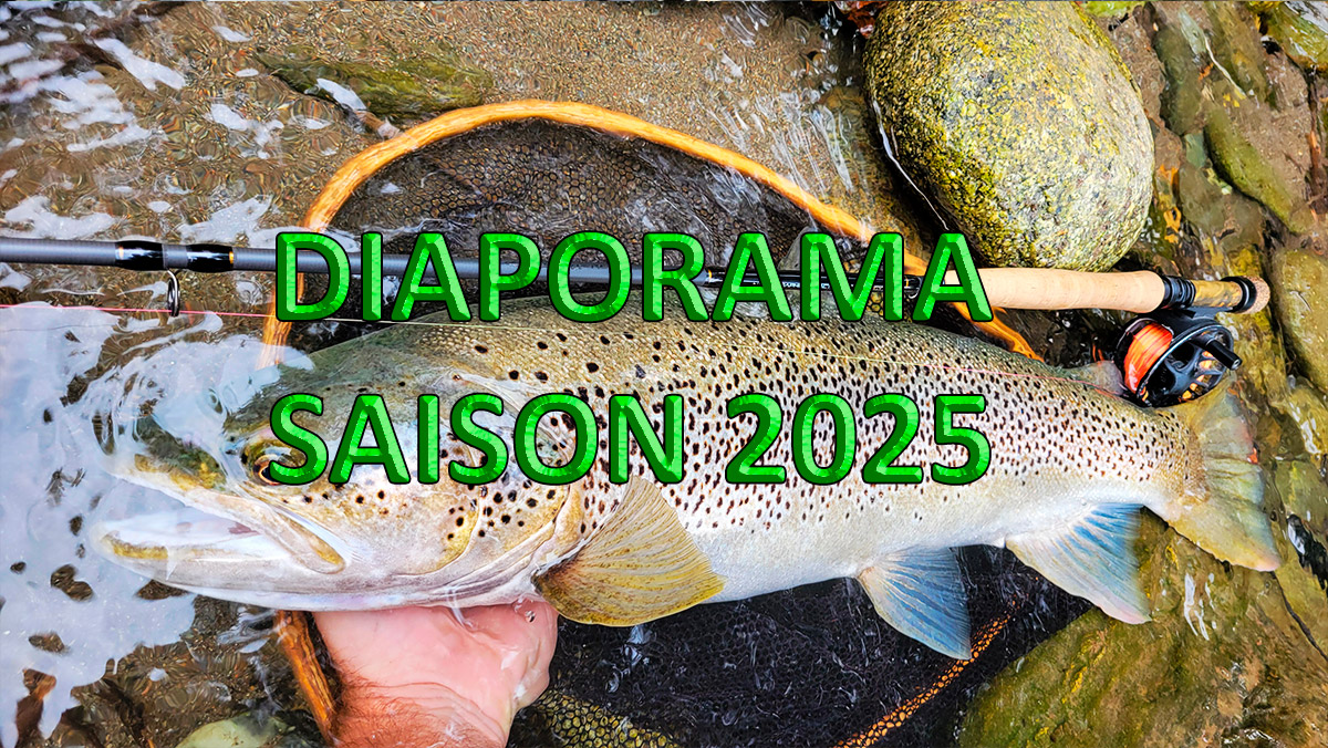 diaporama de la saison de pêche 2025 - Image de garde