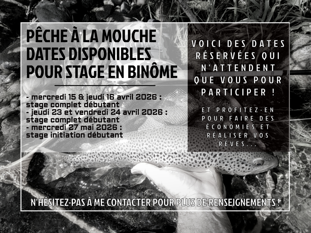20 Leurres De Pêche à La Mouche Abeilles Bioniques - Appâts Artificiels Pour Truite Et Bar